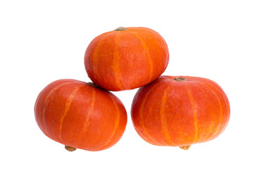 Halloween pumpkin isolated