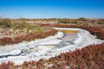 Small salty lake in Kazakhstan