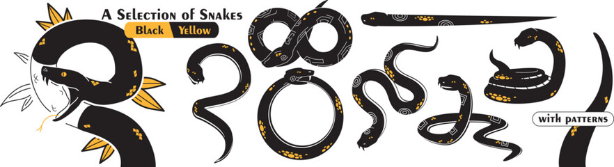 Naklejka premium Vector graphics. A selection of snakes. With patterns. Black and yellow.