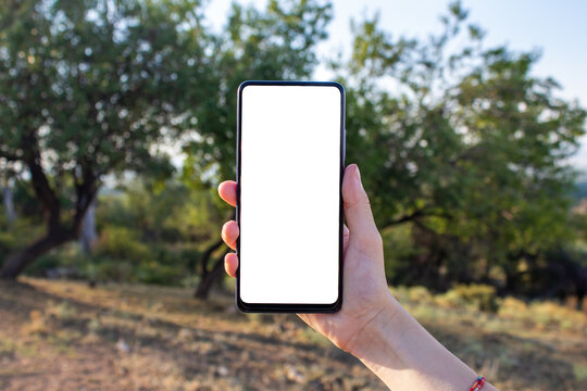 Hand holding phone with blank white screen while walking in the nature. Mockup image of smartphone.