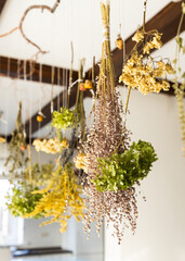 Various dry herbs were tied into bundles and hung on a rope. The basis for a homemade incense stick for the mental practice of mindfulness meditation. Boho style interior