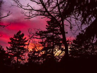 Couché de soleil
Parc Parrilly Vénissieux