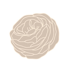 Flower Flat Botanic rose 