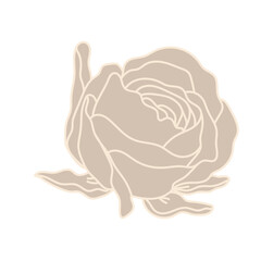 Flower Flat rose tilted  