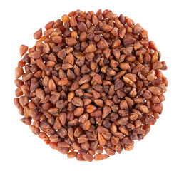 Buckwheat tea isolated on white background. Whole roasted buckwheat grains. Fagopyrum tataricum. Top view.