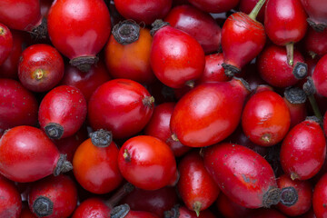 Freshly picked Rosehips. Flat lay. Selective focus.