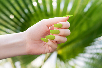 Female hand with green nail design. Mate green nail polish manicure. Hand with green manicure on tropic background.