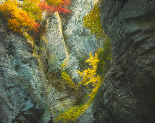 Dried-up waterfall: it was a waterfall but because of the climate changes, the water dried up. It is still beautiful, but alarming.