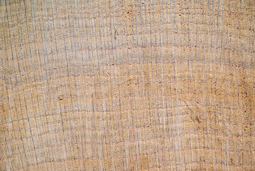 Close-up texture photography of wood. Cut tree trunk.Annual rings on a cut tree close-up.Wooden heart for decoration.Wood background.Wood front view. Natural wood background.Tree trunk cross section