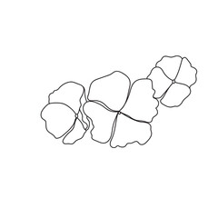 Flower Outline forget me not  