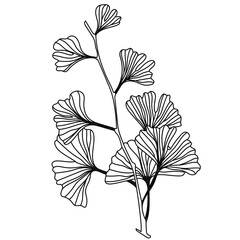 Flower Outline ginkgo leaf bouquet 
