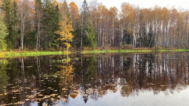 autumn landscape without people, trees reflected in the water. nature.