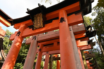 神社の連なる赤い鳥居