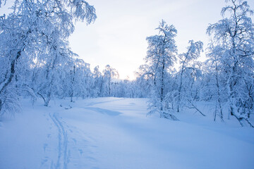 Winter landscape in Pallas Yllastunturi National Park, Lapland, Finland