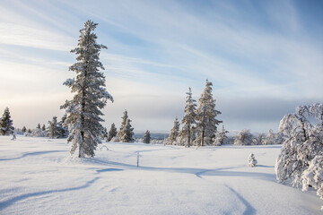 Winter landscape in Pallas Yllastunturi National Park, Lapland, Finland