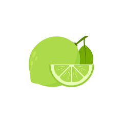 Fresh lime isolated on white background. Vector illustration.