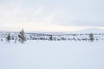 Winter landscape in Pallas Yllastunturi National Park, Lapland, Finland