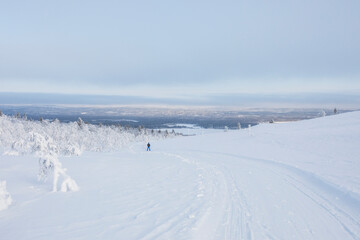 Fototapeta na wymiar Ski expedition in Pallas Yllastunturi National Park , Lapland, Finland