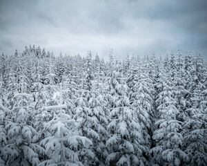 Kahler Asten bei Winterberg im Sauerland