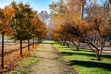 Jardines del Príncipe