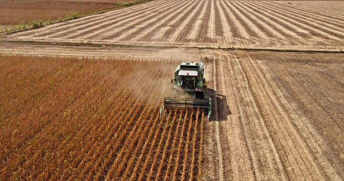 Thriving sustainable soybean farm captured in aerial view, combine harvester goes to work