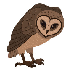 Cartoon brown owl. Woods wildlife feathered owl, forest wild predator bird flat vector illustration on white background