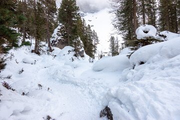 Mountain landscape on the alps with snow and pine forest in winter.. Path in the snow in the woods of the Dolomites mountains in Trentino Alto Adige, South Tyrol in the Odle Park, Funes, Italy