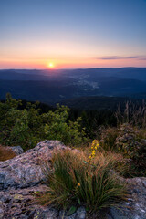 Sonnenaufgang mit Blume und Fels im bayerischen Wald auf dem großen Arber.