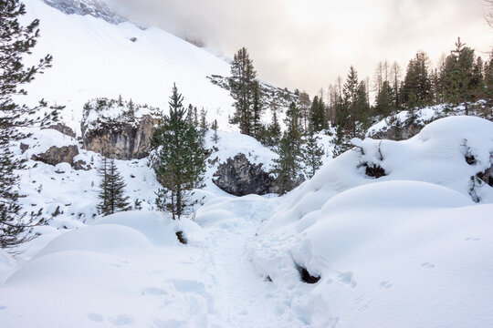 Mountain landscape on the alps with snow and pine forest in winter.. Path in the snow in the woods of the Dolomites mountains in Trentino Alto Adige, South Tyrol in the Odle Park, Funes, Italy