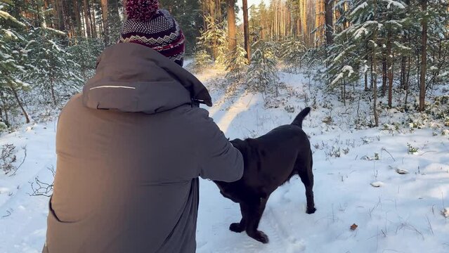a man tries to take pictures of his dog on a smartphone in a winter forest.