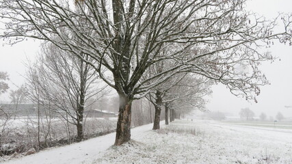 Spazierweg im Schneegest&ouml;ber