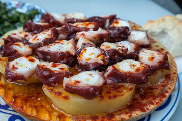 Octopus with potato baked in olive oil, traditional Spanis dish