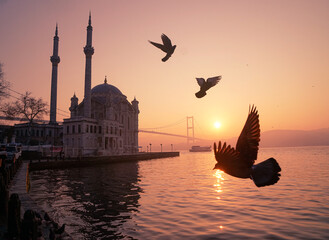 silhouette of a mosque