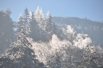 zima, śnieg, mróz, Beskidy, góry, krajobraz, przeziębienie, drzew, droga, niebo, biała, lodu,...