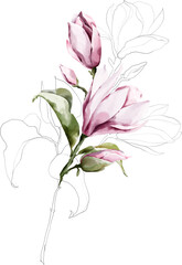 Bouquet of pink watercolor magnolias, botanical clipart with flower, floral lineart