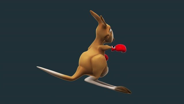 Fun 3D cartoon kangaroo boxing (with alpha channel included)