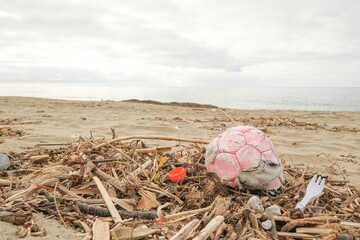 Plastic debris waste pollution trashed on sea coast ecosystem,environment nature pollution