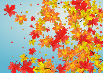 Naklejka na ściany i meble Red Leaves Background Blue Vector. Leaf Decor Texture. Colorful Abstract Plant. Decoration Foliage Design.