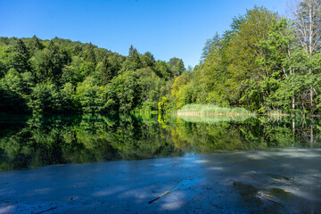Obraz premium Plitvice National Park, where the beautiful natural environment is well preserved