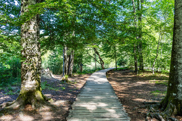 Plitvice National Park, where the beautiful natural environment is well preserved