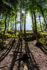 Plitvice National Park, where the beautiful natural environment is well preserved