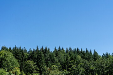 Plitvice National Park, where the beautiful natural environment is well preserved