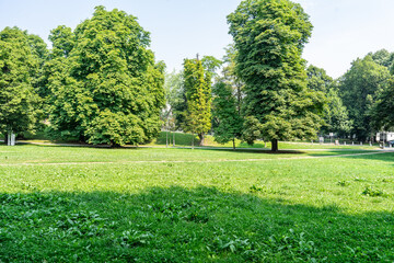 A secluded park without people and a dense forest