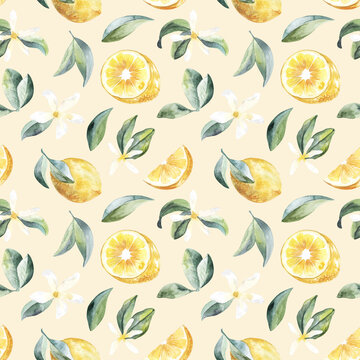 Lemon fruits with leaves and jasmine flower watercolor pattern on beige background