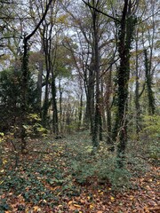 Obraz premium old summer