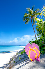 Beautiful tropical beach with palm trees and pink flip flops. Amazing beach scene vacation and summer holiday concept. Maldives paradise beach. Luxury travel summer holiday background concept. - 558120746