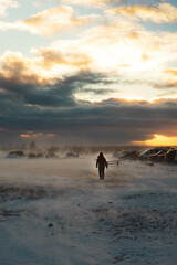 snow storm across open fields in iceland 