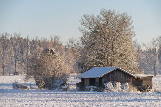 Farmers hut in winter with blue sky and snow in front of forest 