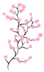 vector cherry blossom, sakura branch with pink flowers