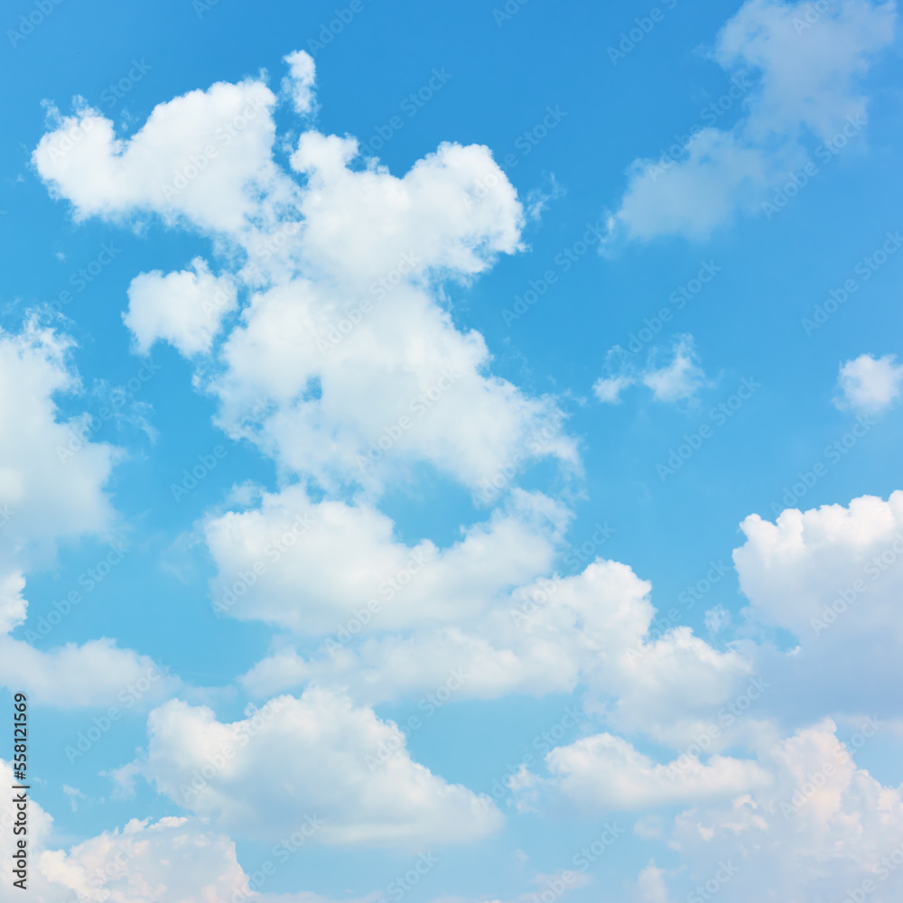 Wall mural white heap clouds in the blue sky